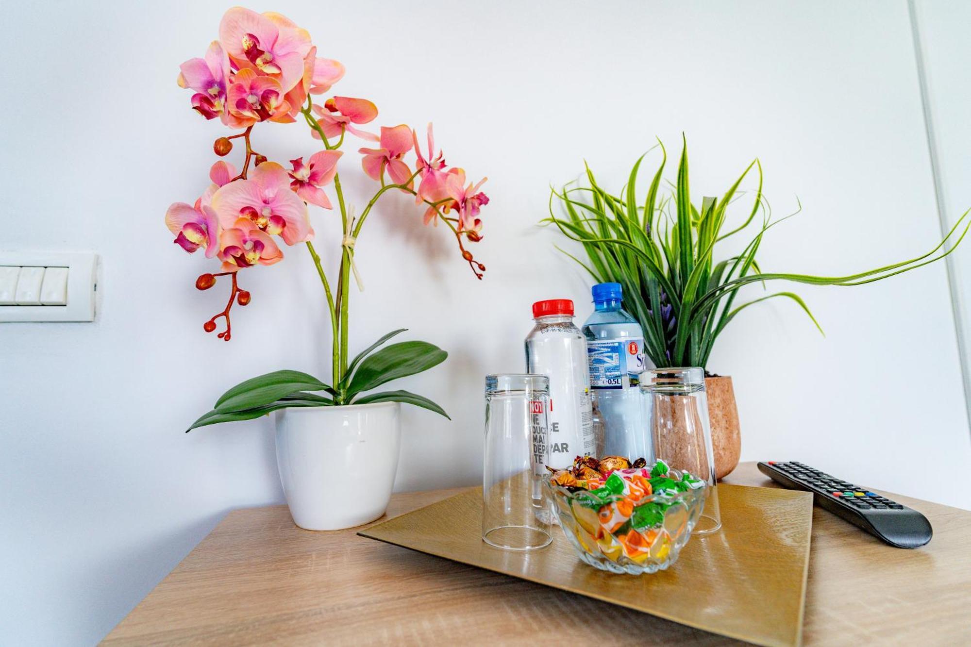 Casa Darya-24H Check-In Apartment Букурещ Екстериор снимка